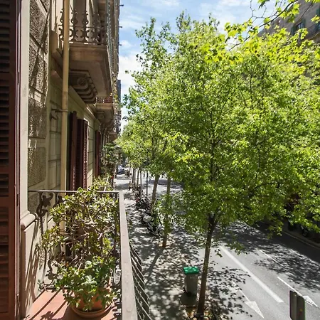 P2ari1046 - Magnific 2bed In The Center Apartment
